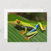 Blattgrün Postkarte (Vorne/Hinten)