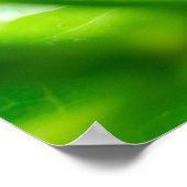 Blattkäfer auf Pflanze Poster (Ecke)