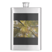 Blattkanopie Flachmann (Vorderseite)