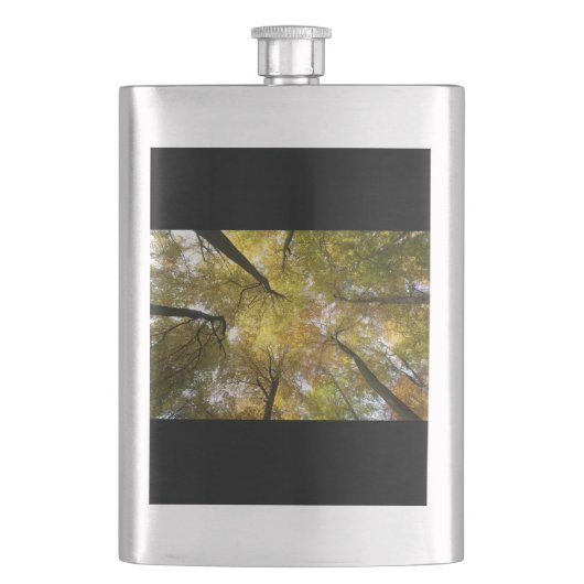 Blattkanopie Flachmann (Vorderseite)