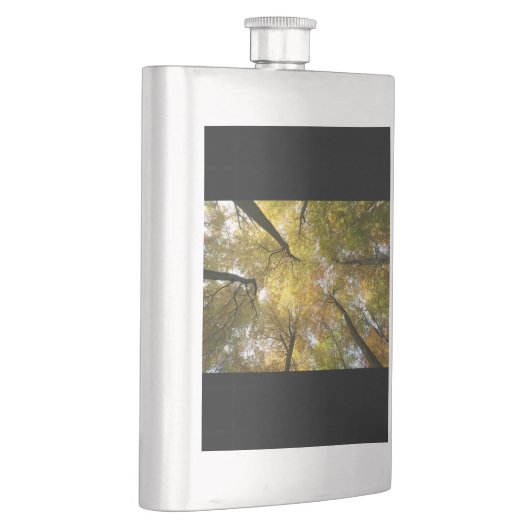 Blattkanopie Flachmann (Rechts)