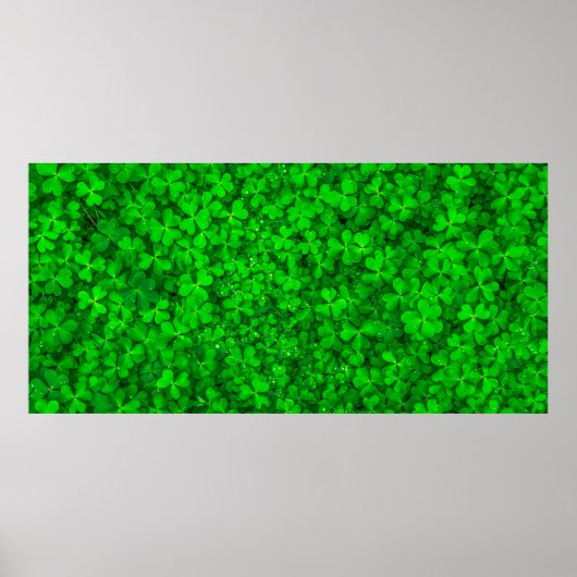 Blattklee grüne Kleeblatt-Feder Poster (Vorne)