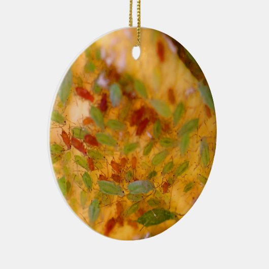 Blattlaus-Plage Keramik Ornament (Rechts)