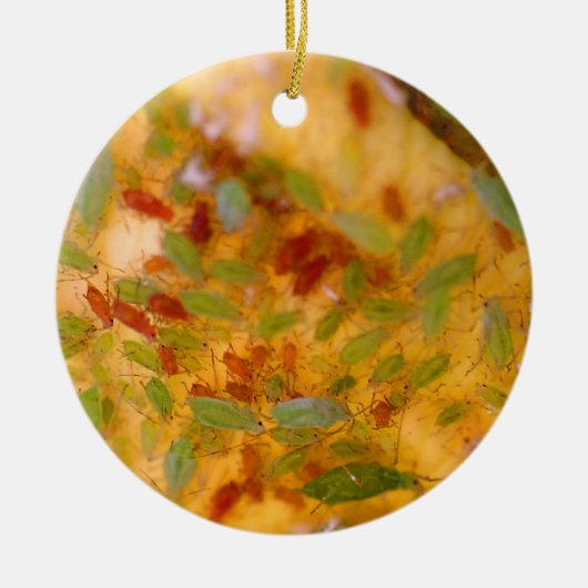 Blattlaus-Plage Keramik Ornament (Vorne)