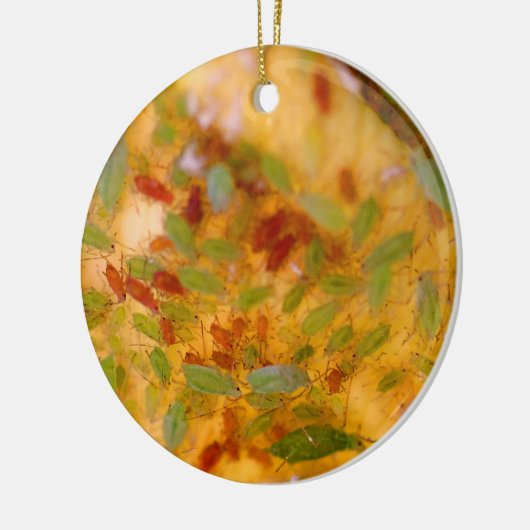 Blattlaus-Plage Keramik Ornament (Links)