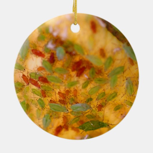 Blattlaus-Plage Keramik Ornament (Hinten)