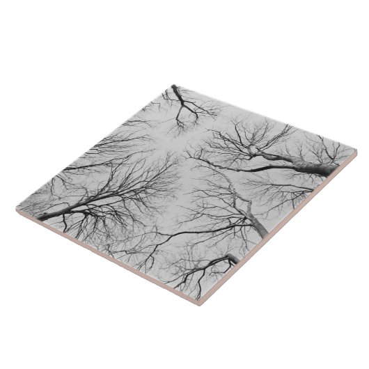 Blattlose Bäume in Thiepval Holz Fliese (Seite)