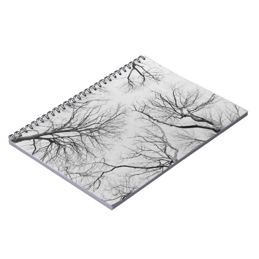 Blattlose Bäume in Thiepval Holz Notizblock (Linke Seite)