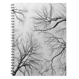 Blattlose Bäume in Thiepval Holz Notizblock