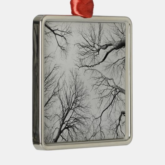 Blattlose Bäume in Thiepval Holz Silbernes Ornament (Rechts)