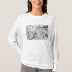 Blattlose Bäume in Thiepval Holz T-Shirt