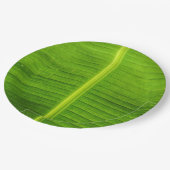 Blattpapier Pappteller (Schrägansicht)