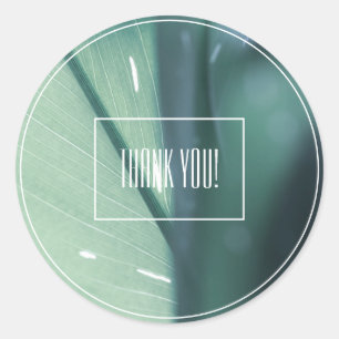 Blattpflanze in Hellgrün Danke Sticker