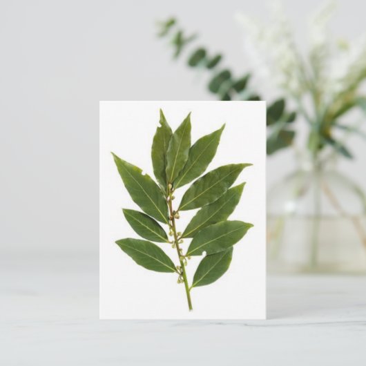 Blattschieber Postkarte (Stehend Vorderseite)