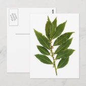 Blattschieber Postkarte (Vorne/Hinten)