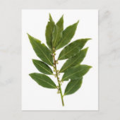 Blattschieber Postkarte (Vorderseite)