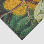 Blattwerk, Blume und Obst eines Maya-Baumes Seidenpapier (Ausschnitt)