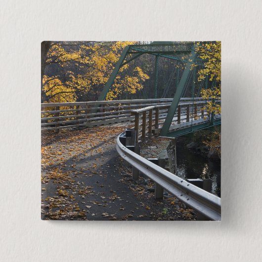 Blattwerk und eine Brücke über den Miller Button (Vorderseite)