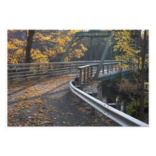 Blattwerk und eine Brücke über den Miller Fotodruck