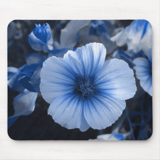 Blau abgetönter Lavatera Mousepad (Vorne)