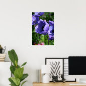 Blau Anemone Blumenfotografie Poster (Heimbüro)