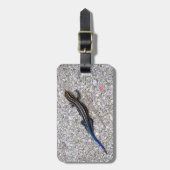 Blau angebundenes Skink Gepäckanhänger (Vorderseite vertikal)