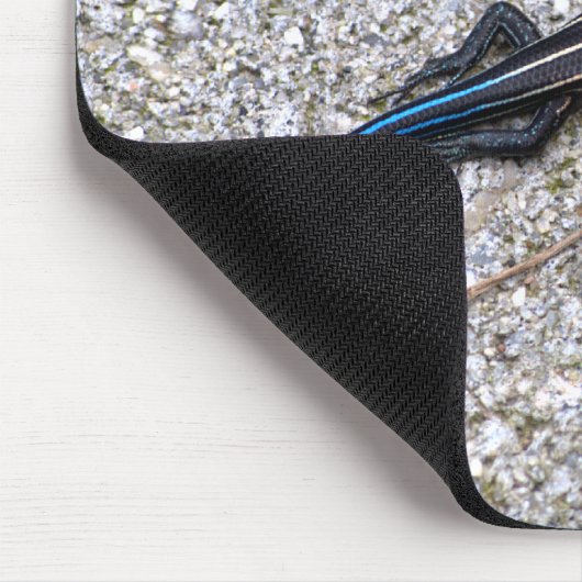 Blau angebundenes Skink mousepad (Ecke)