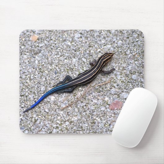 Blau angebundenes Skink mousepad (Mit Mouse)