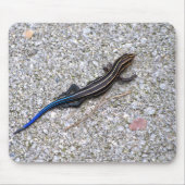 Blau angebundenes Skink mousepad (Vorne)