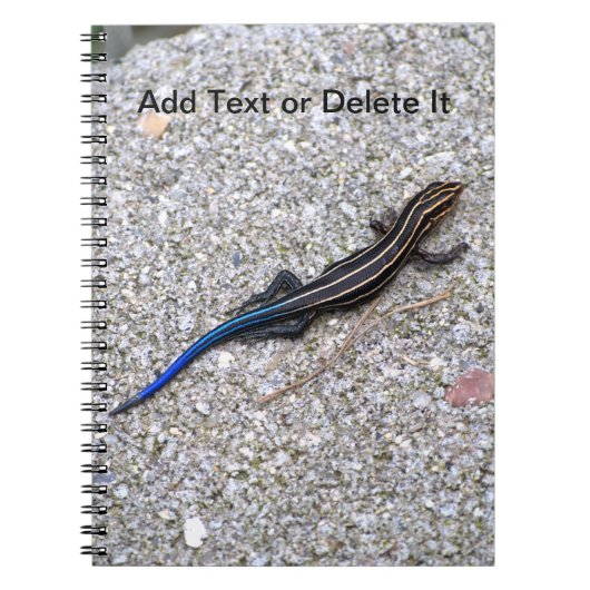 Blau angebundenes Skink Notizbuch Notizblock (Vorderseite)