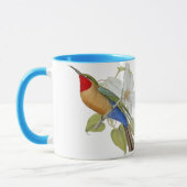 Blau aufgeblähter Bienen-Esser und Kaiserin von Tasse (Links)