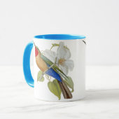 Blau aufgeblähter Bienen-Esser und Kaiserin von Tasse (Vorderseite Links)