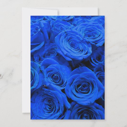 Blau blühende Blumen blauer Rose Einladung (Rückseite)