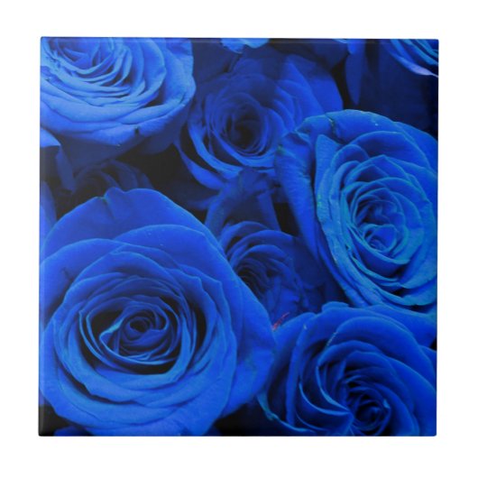 Blau blühende Blumen blauer Rose Fliese (Vorderseite)