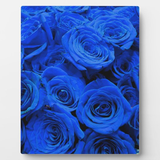 Blau blühende Blumen blauer Rose Fotoplatte (Vorderseite)
