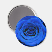 Blau blühende Blumen blauer Rose Magnet (Vorderseite/Rückseite)