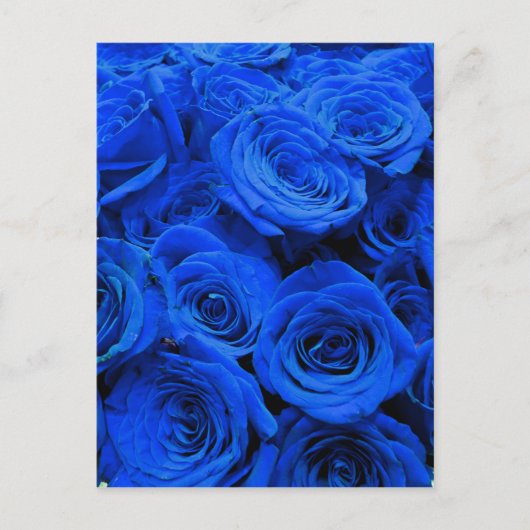 Blau blühende Blumen blauer Rose Postkarte (Vorderseite)