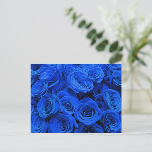 Blau blühende Blumen blauer Rose Postkarte (Stehend Vorderseite)
