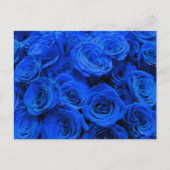 Blau blühende Blumen blauer Rose Postkarte (Vorderseite)
