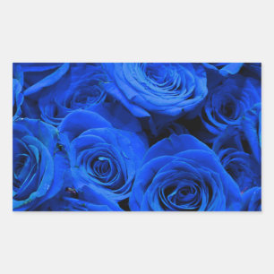 Blau blühende Blumen blauer Rose Rechteckiger Aufkleber