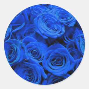Blau blühende Blumen blauer Rose Runder Aufkleber