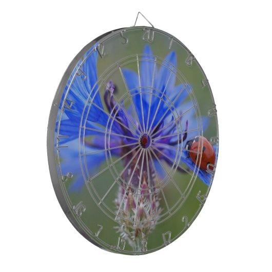 Blau blüht dartscheibe (Vorderseite Links)