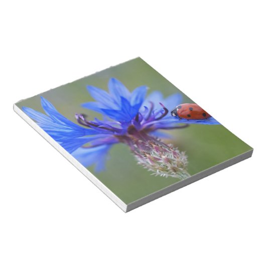 Blau blüht notizblock (angewinkelt)