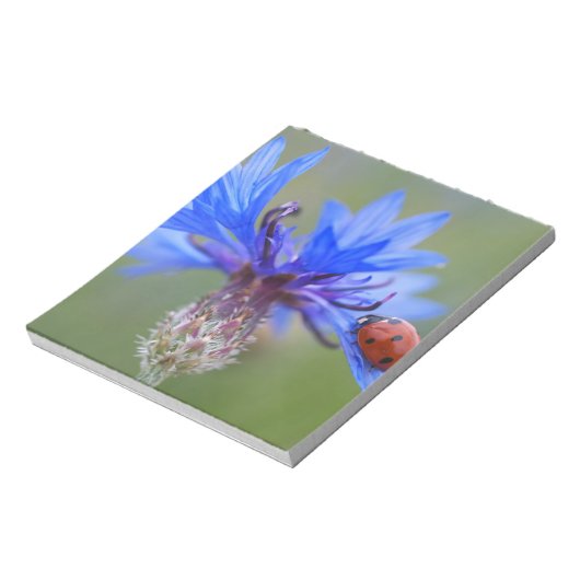 Blau blüht notizblock (Rotiert)