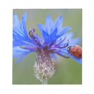 Blau blüht notizblock