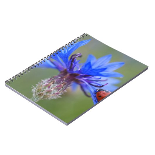 Blau blüht notizblock (Linke Seite)