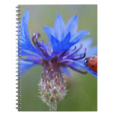 Blau blüht notizblock (Vorderseite)