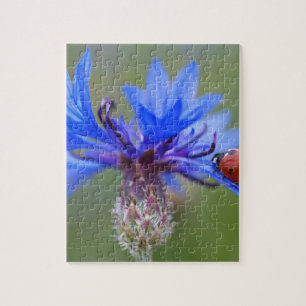 Blau blüht puzzle