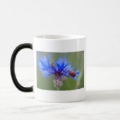 Blau blüht verwandlungstasse (Links)