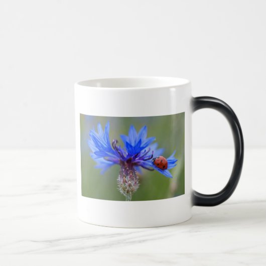 Blau blüht verwandlungstasse (Rechts)